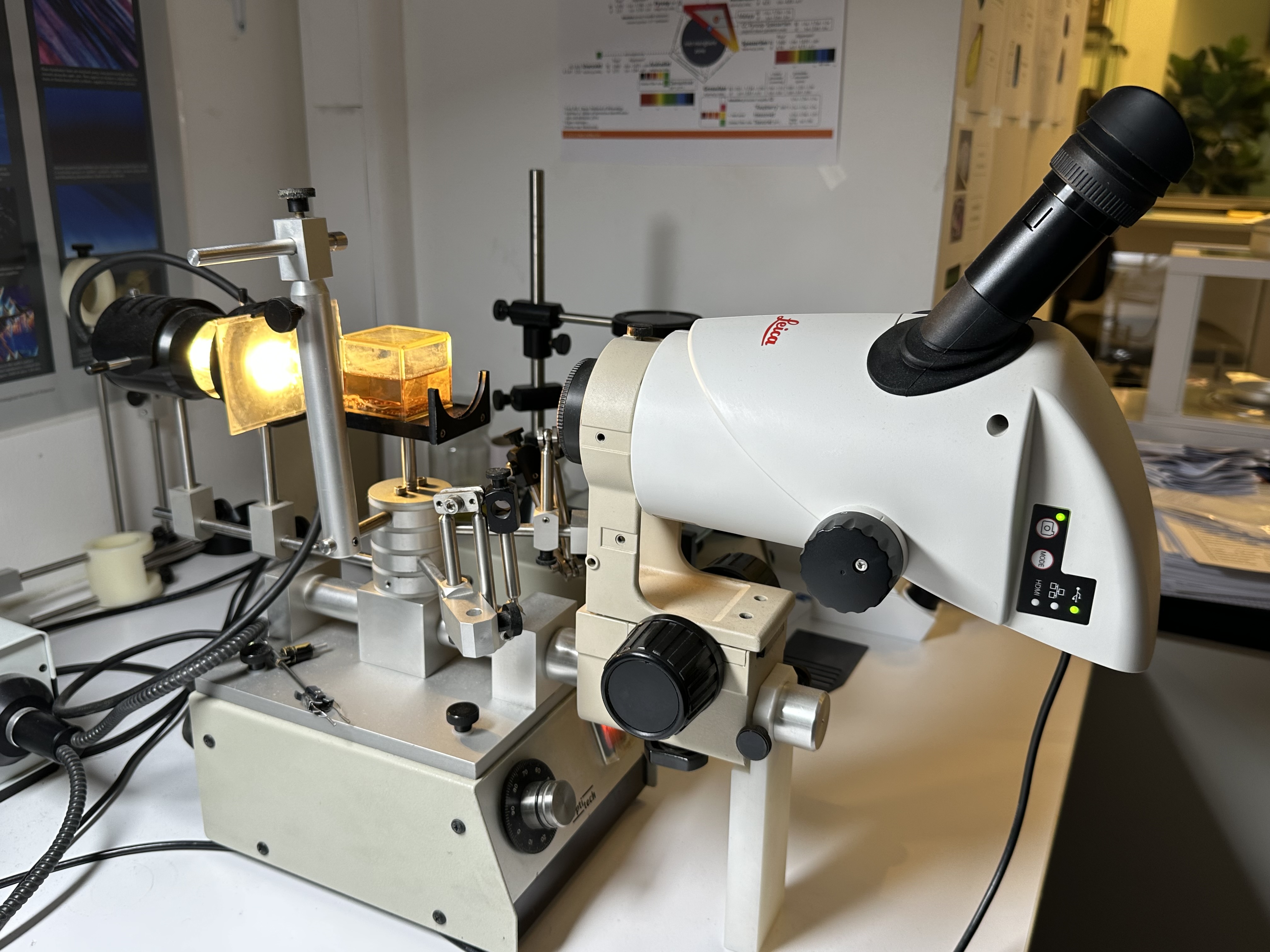 Laboratory Equipment — ALGT
